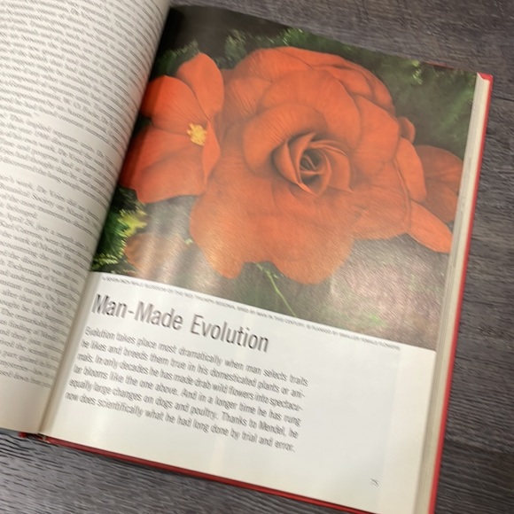 Vintage - Life nature library - Picture 2 of 5